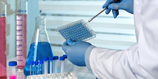 Die Chancen der Biomedizin